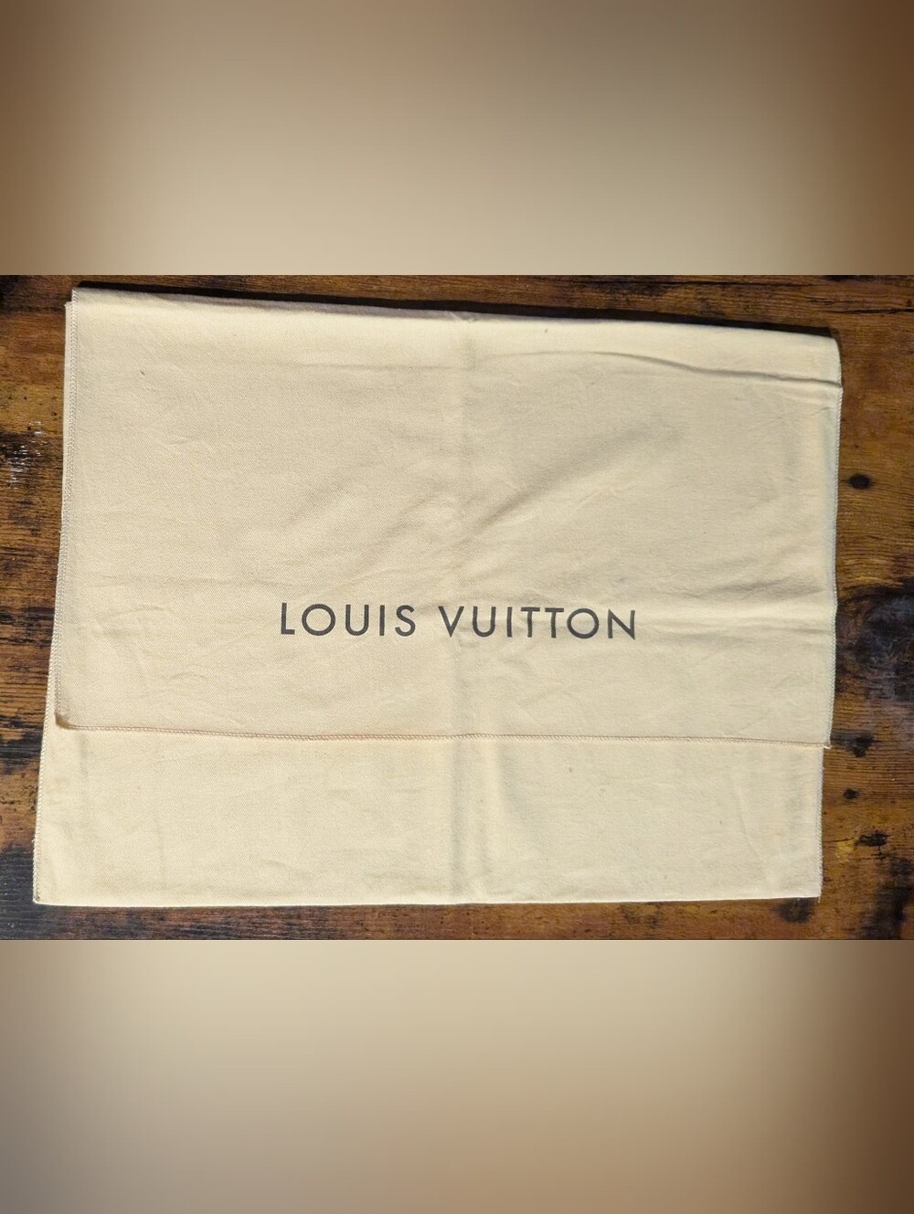 Louis Vuitton Speedy 25 Pochette Metis Vintage Large Envelope Handbag Dust Bag